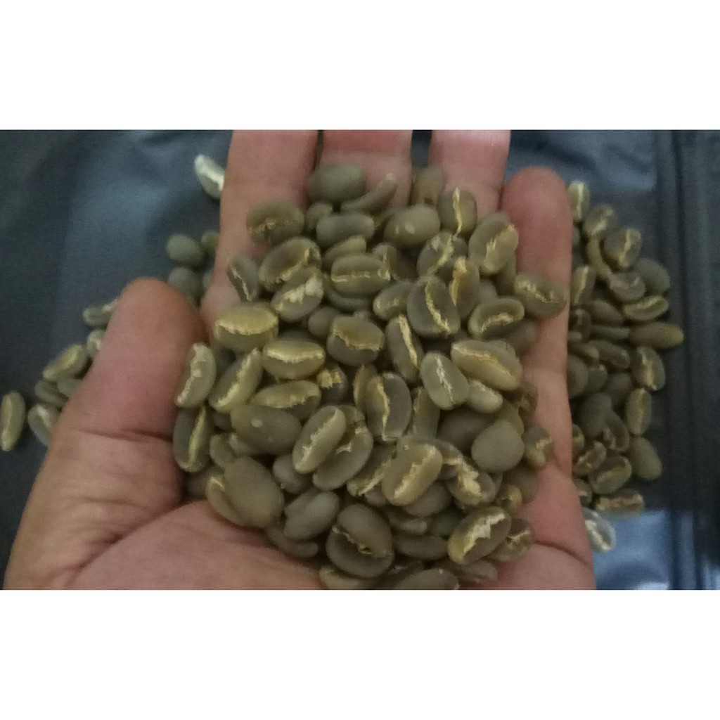 

Biji Kopi Arabica Aceh Gayo Red Bourbon Grade1, 1 Kg