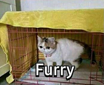 Sarung Celana Anak 7-12 Tahun / Sarung Anak Instan Murah / Sarung Celana Batik Anak