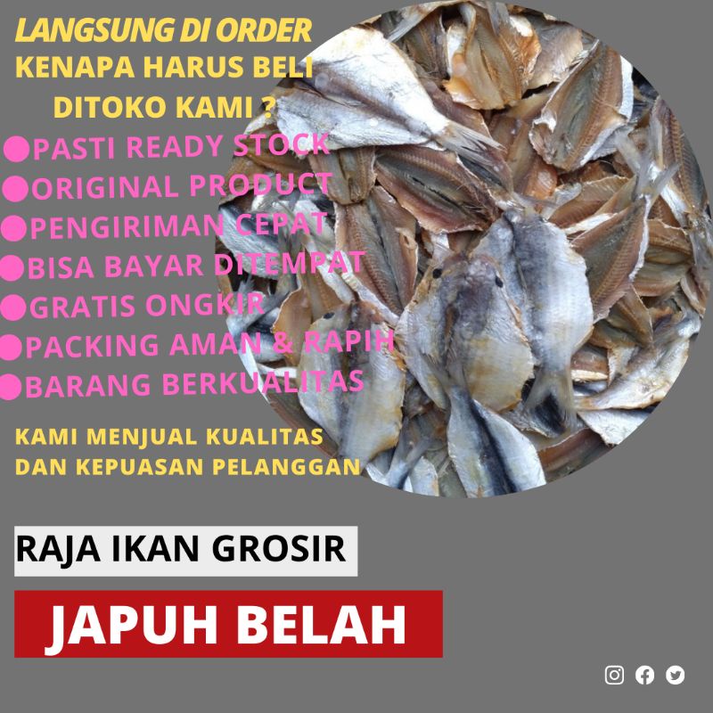 

IKAN ASIN JAPU DENDENG 500 GRAM