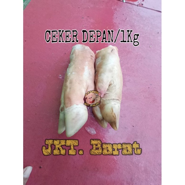 

ceker. depan babi/1pics