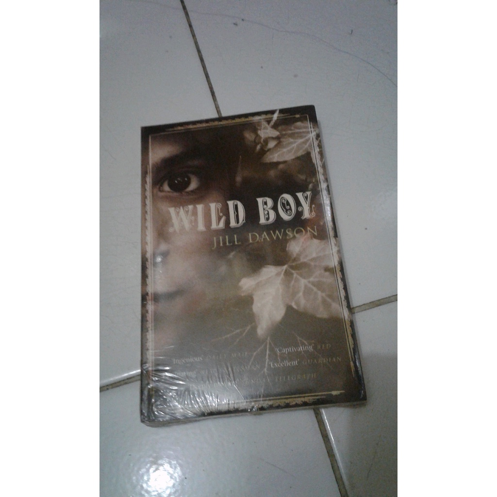 

ORIGINAL NOVEL INGGRIS Wild Boy -Jill dawson