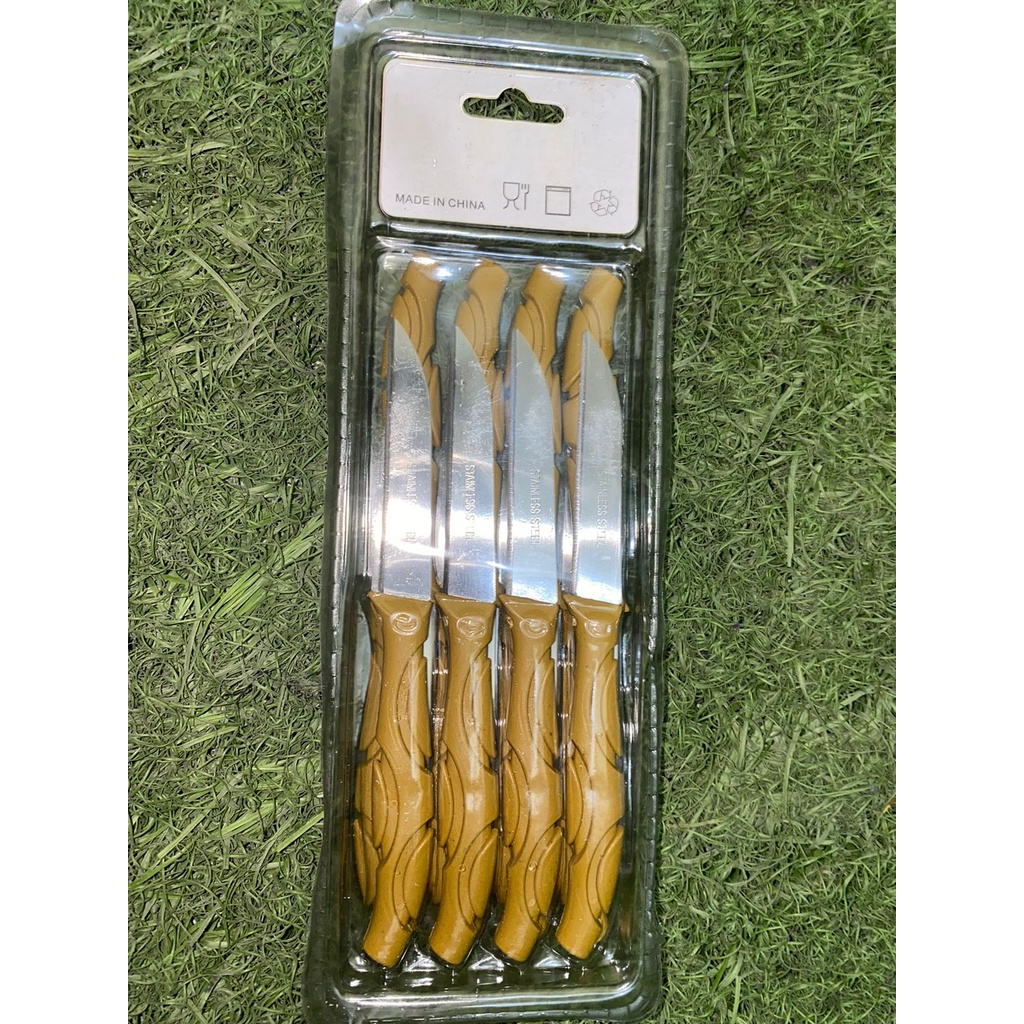 [DZS] PISAU BUAH STAINLESS STEEL 1 LUSIN 12 SET PCS 12PCS 12SET KUALITAS TERBAIK TAHAN KARAT