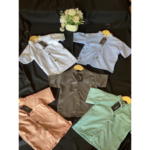 Safari anak katun toyobo