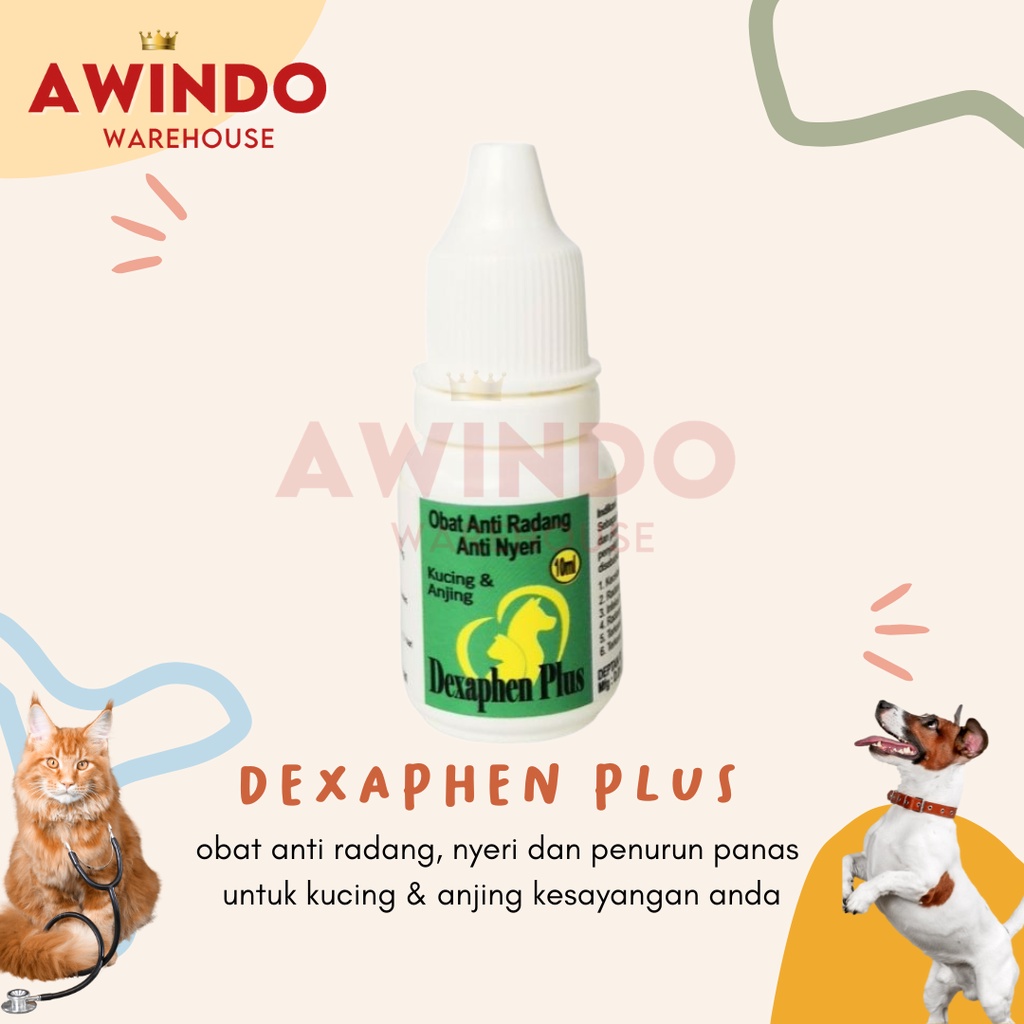 DEXAPHEN PLUS - Obat Anti Radang Nyeri Penurun Panas Demam Luka Dalam Kucing Anjing