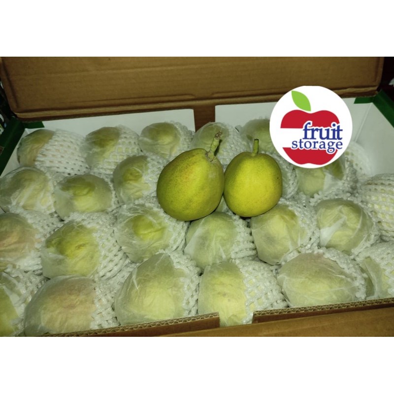 

Pear Xiang Lie 1kg buah Xiangli siangli siang li lie xianglie