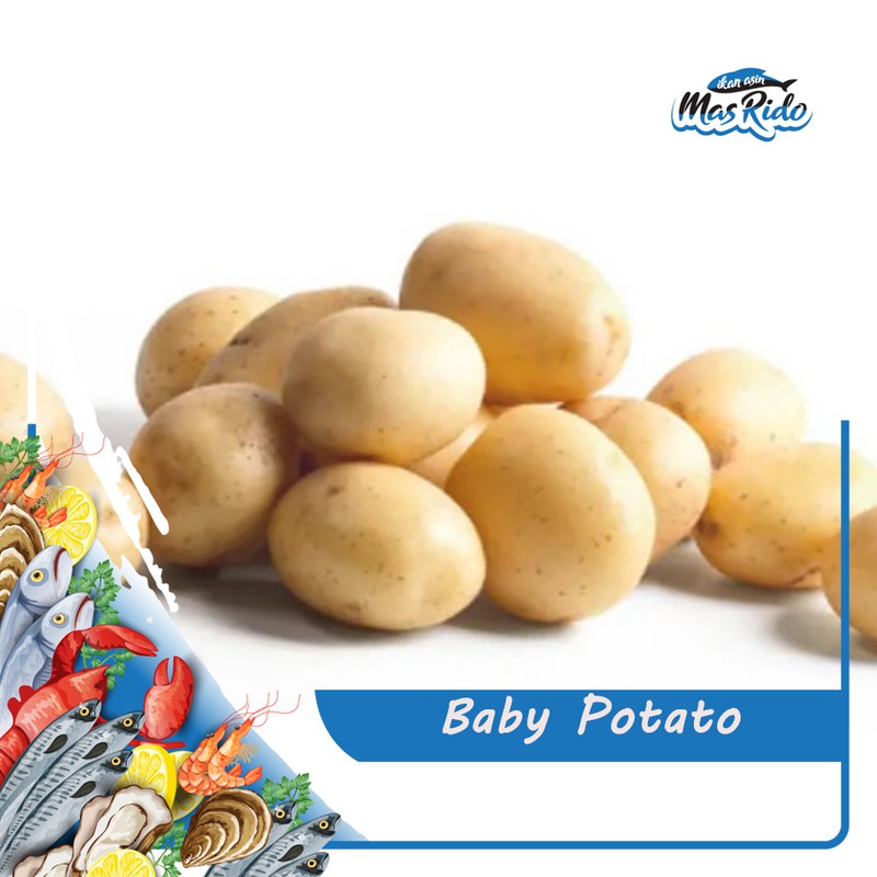 

BABY POTATO KENTANG SAYUR SEGAR FRESH KWALITAS SUPER HARGA MURAH