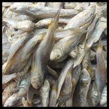 

IKAN KEPALA BATU MEDAN SUPER 250GR