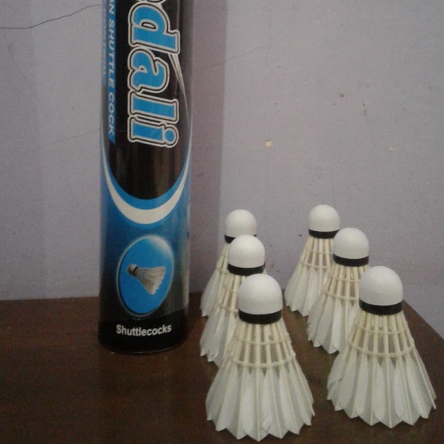 Shutlecock Berkualitas