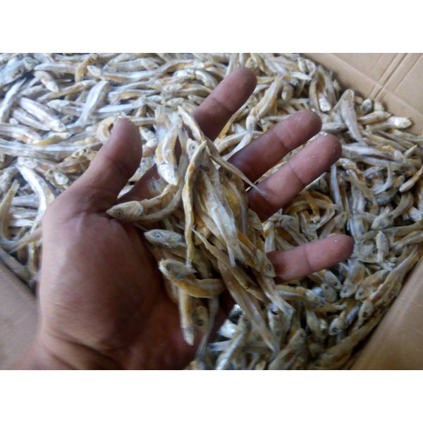 

Ikan Asin Teri 500 Gram