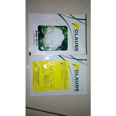 Benih bibit bunga kol Bima 45 F1
