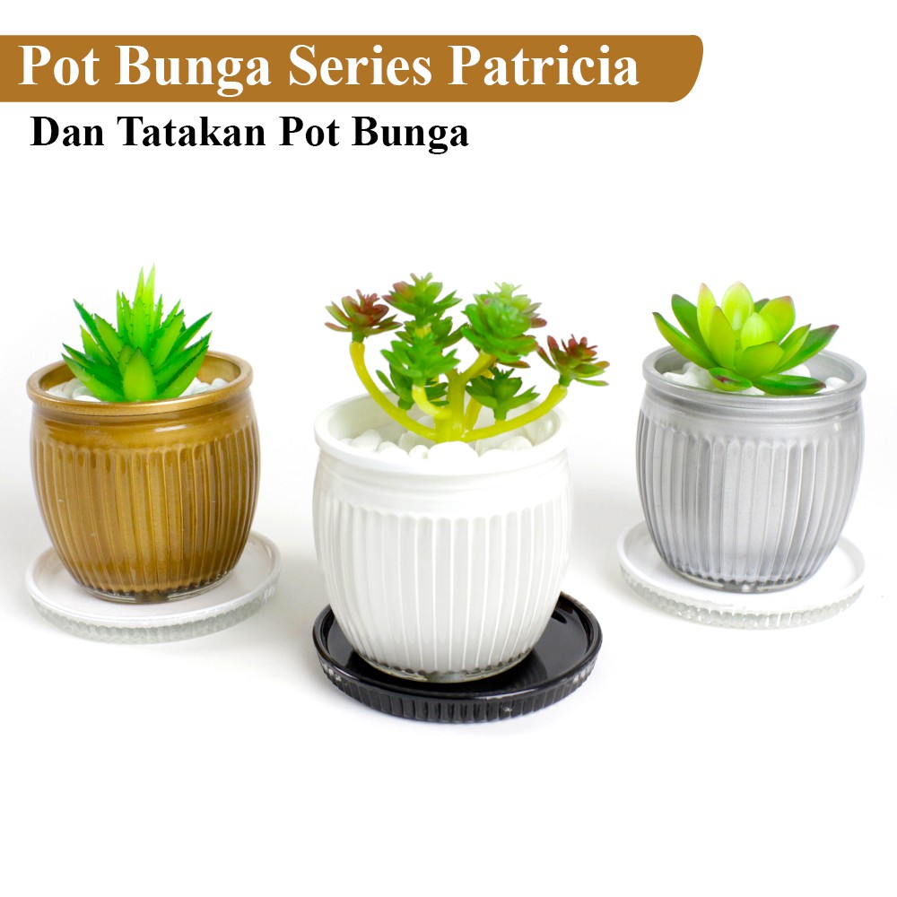 FM - Pot Bunga Minimalis + Tatakan Kaca Premium 6 cm Series Patricia