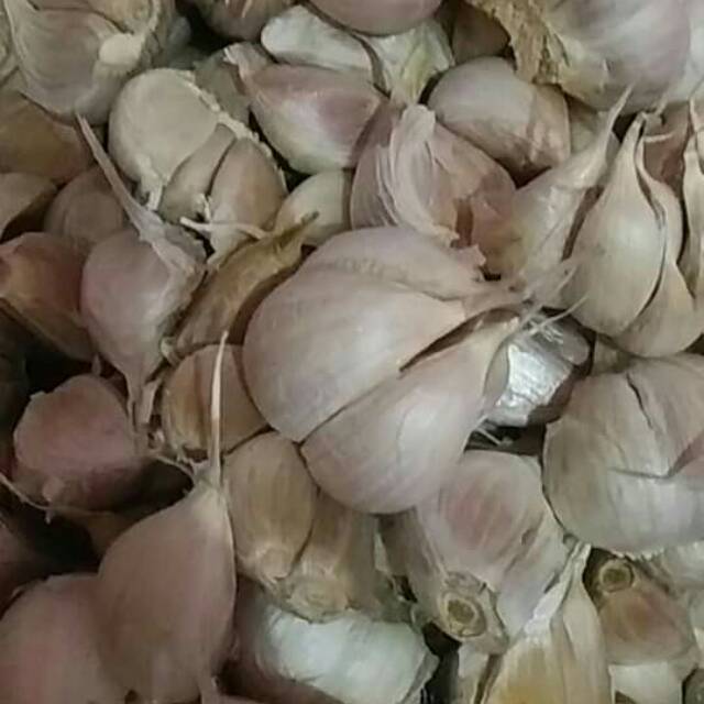 

Bawang Kating Super