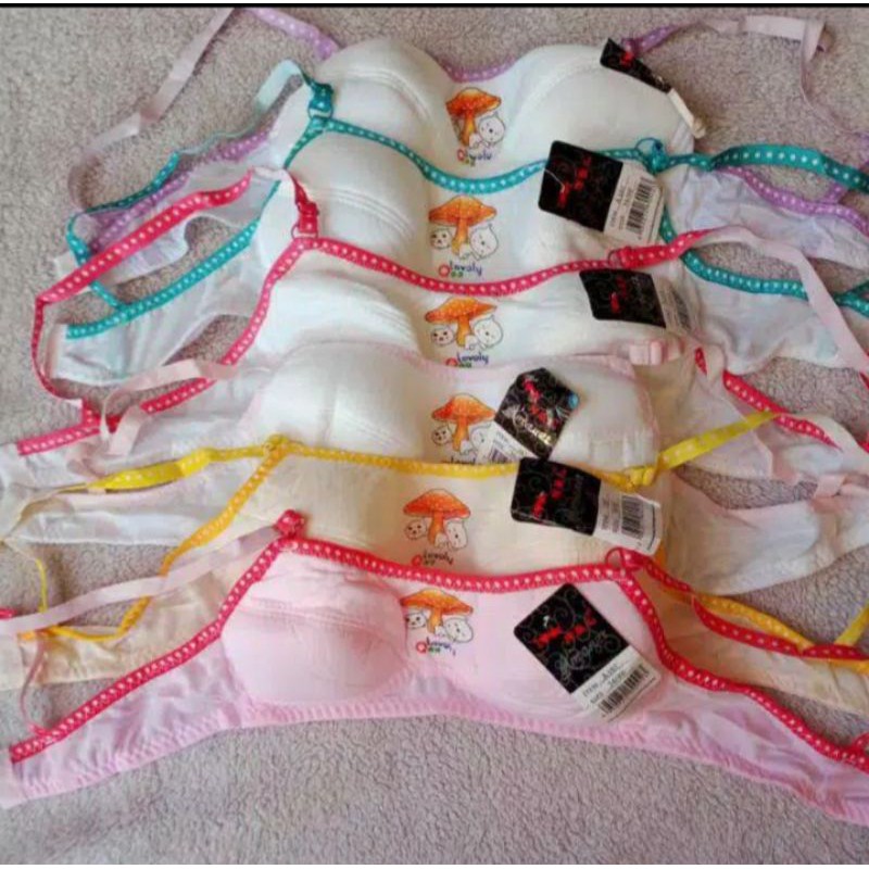 BH REMAJA/BH PELAJAR tanpa busa/BH SD,SMP PERMULAAN/BH TERLARIS