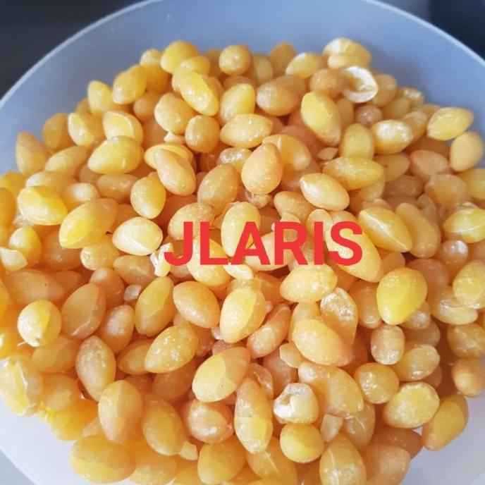 

ginko seed / gingko giloba 1/2kg