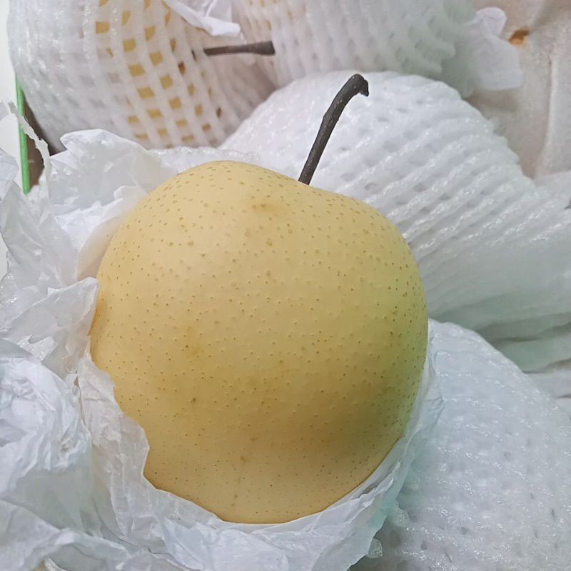 

Pear Century