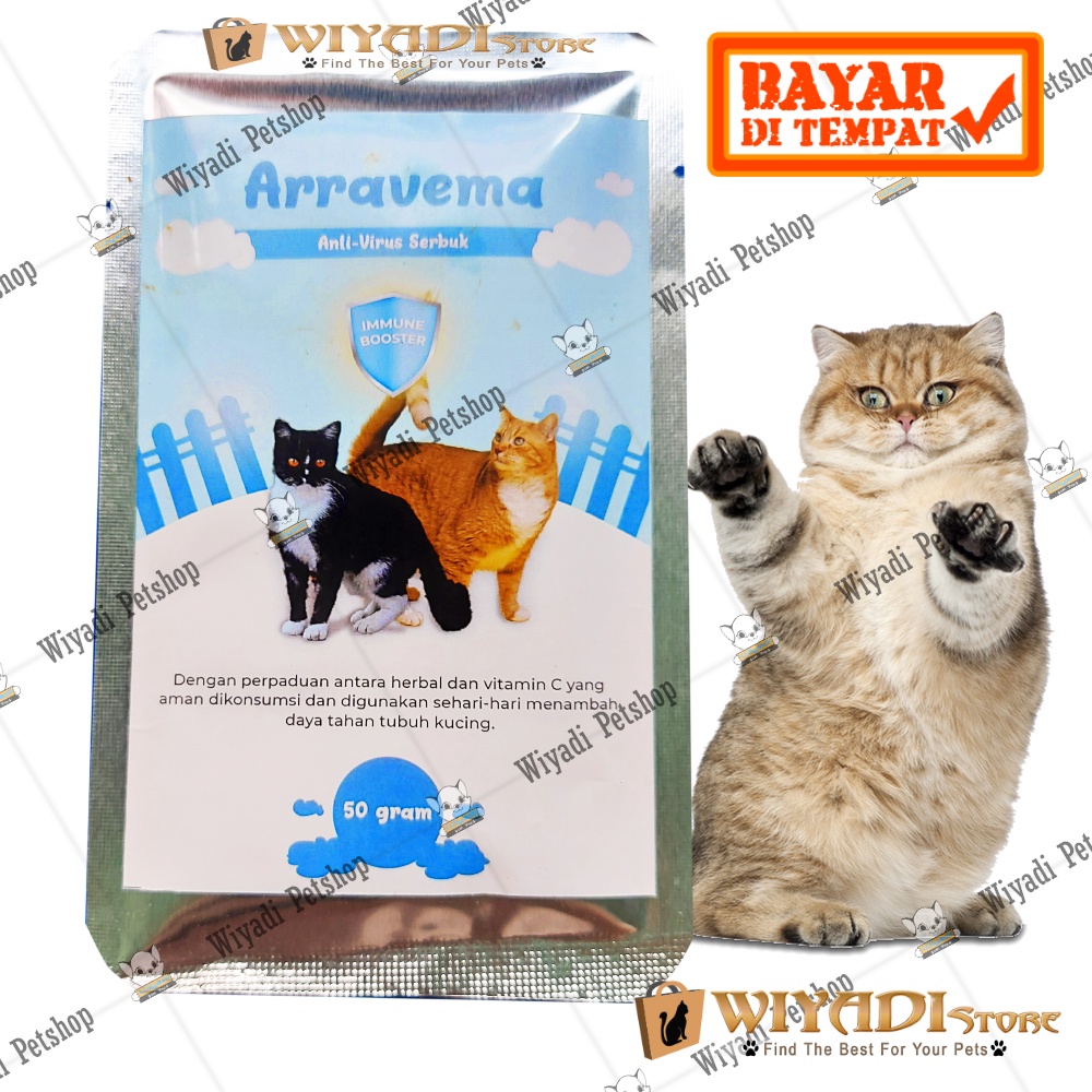 Arravema 50gr Penurun Panas kucing karna Virus