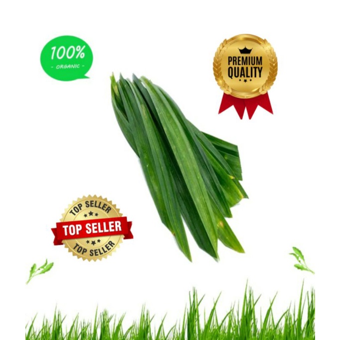 

DAUN PANDAN WANGI FRESH ORGANIK 1000 GRAM (PREMIUM QUALITY)