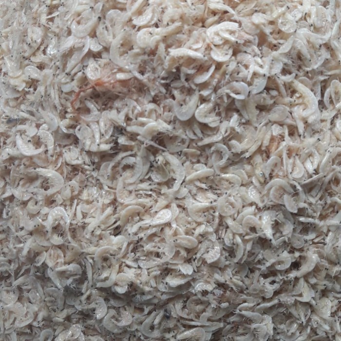 

udang rebon 1kg