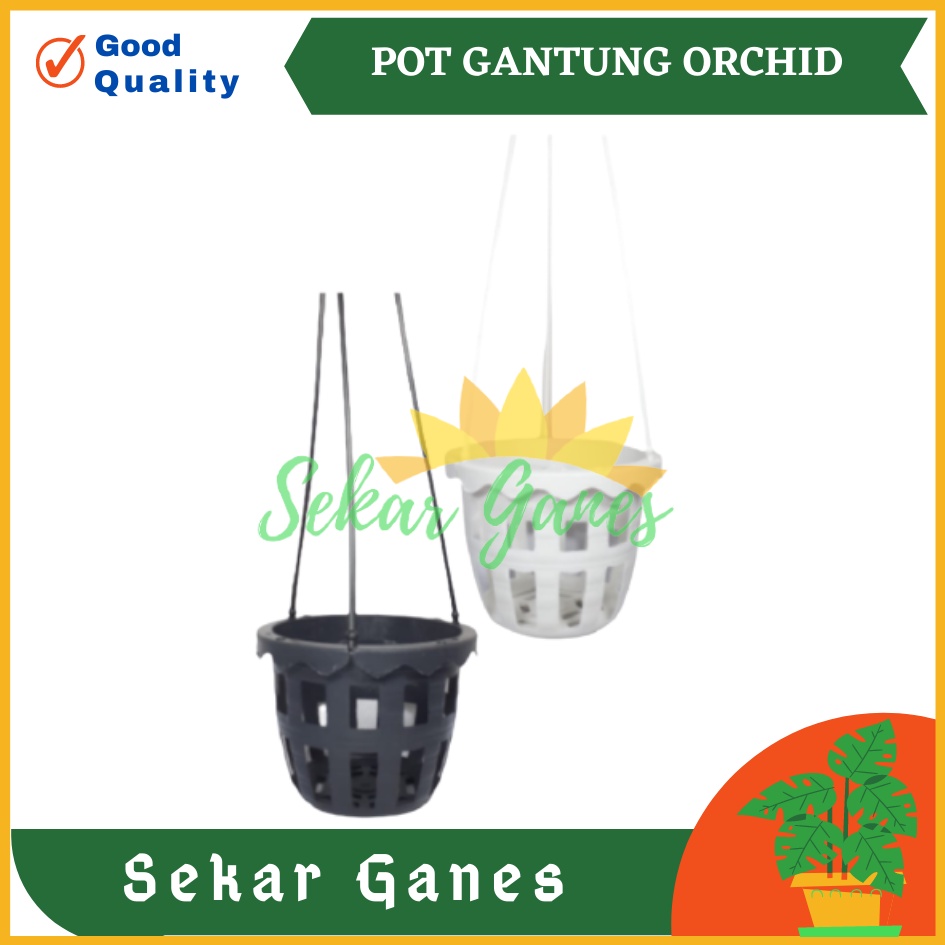 Pot Gantung Anggrek Orchid 10cm Putih Hitam Pot Anggrek Murah Bkn Pot Anggrek Gantung NKT Putih 14