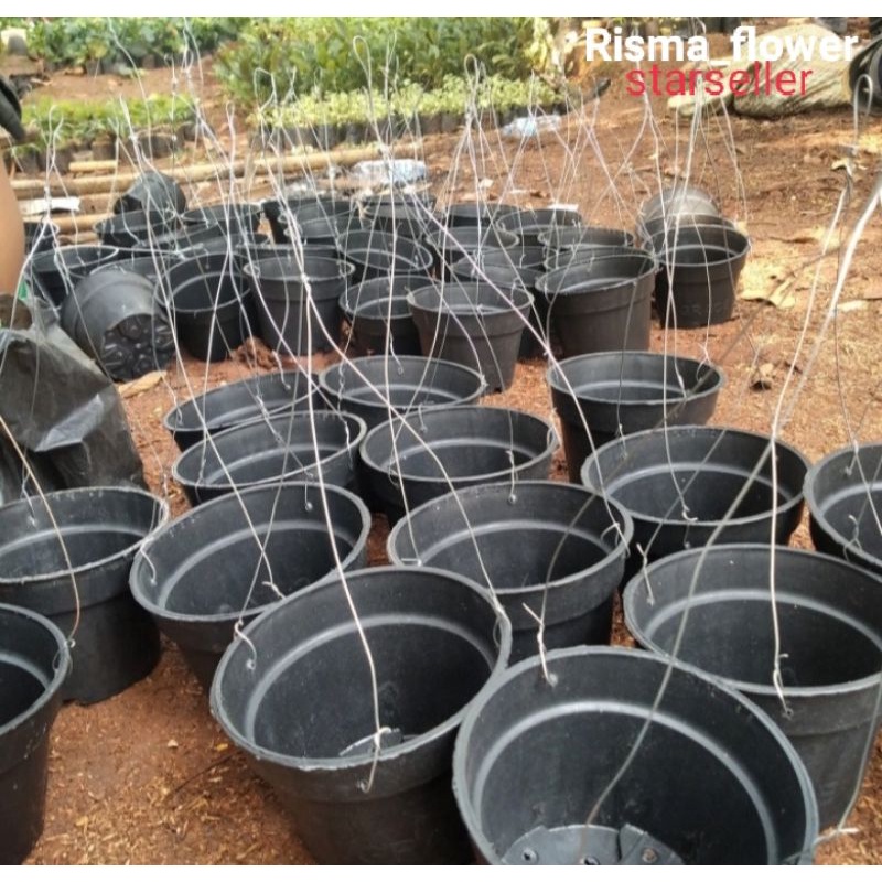 POT GANTUNG HITAM / POT TANAMAN GANTUNG