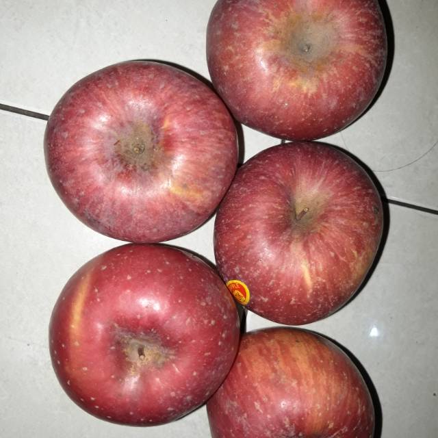 

apel fuji|buah apel|apel fuji manis|buah segar|buah segar bandung