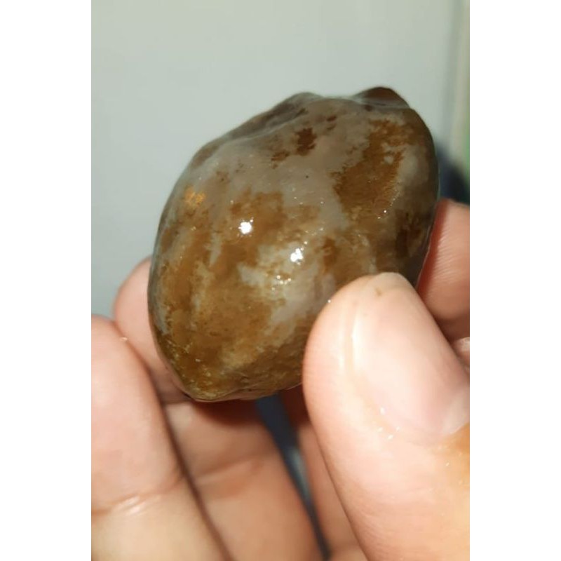 Kemiri / Muncang Adu Tower Suyud