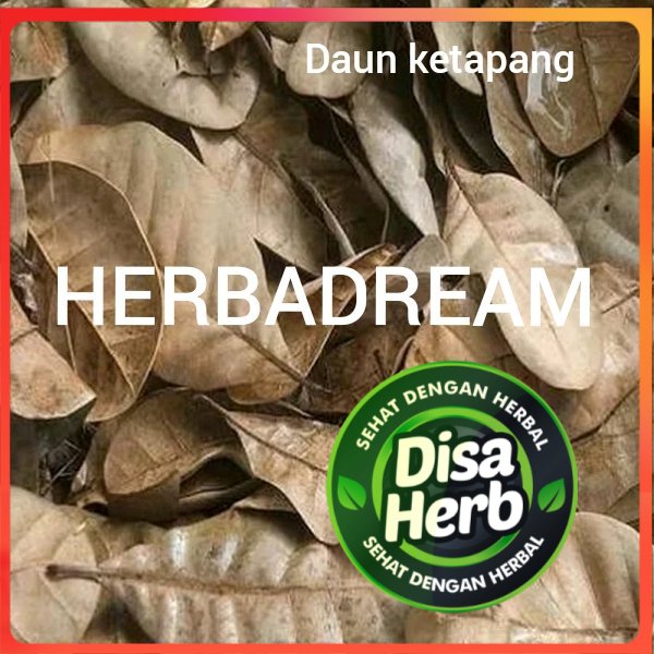 

DAUN KETAPANG KERING 50 GRAM - Terminalia Catappa - MURNI - JSR - REMPAH