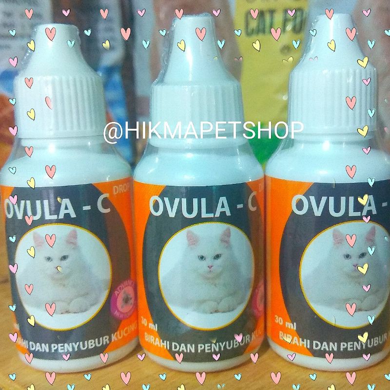 ovula c drop obat birahi kucing penambah birahi