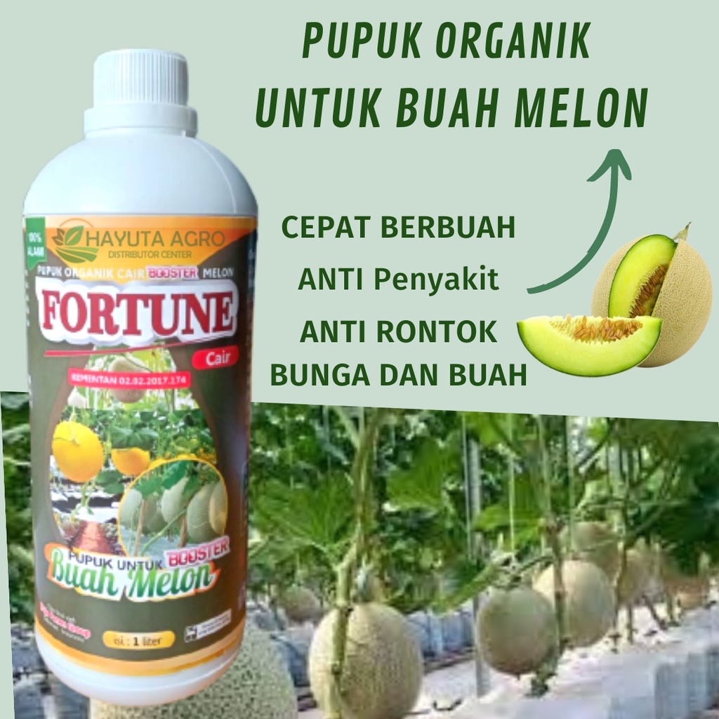 Pupuk Booster Melon, Bisa COD Pupuk Booster Untuk Melon Pelebat Buah, Pupuk Bibit Buah Melon Cepat B