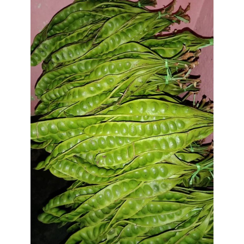 

PETAI SUPER