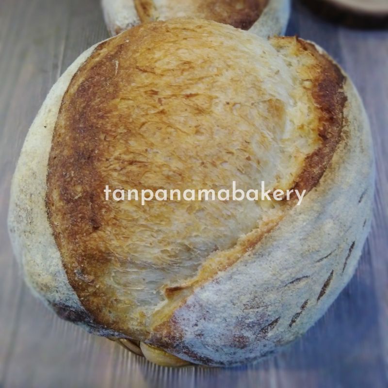 

Sourdough plain, roti gandum sehat