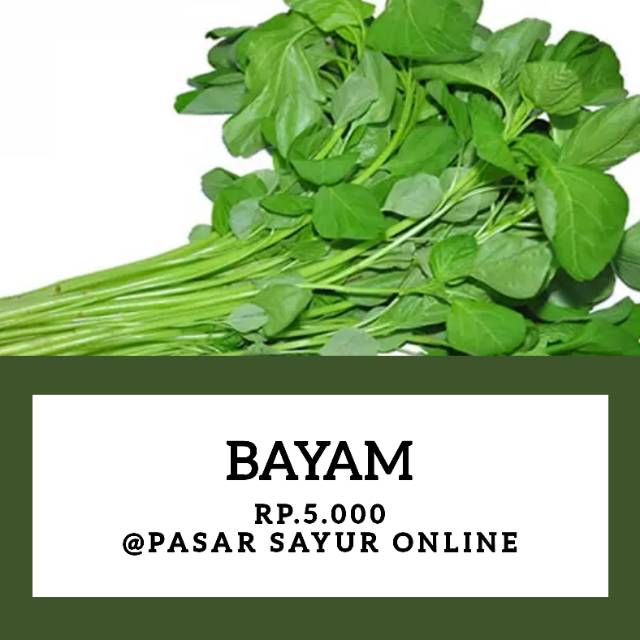 

Bayam