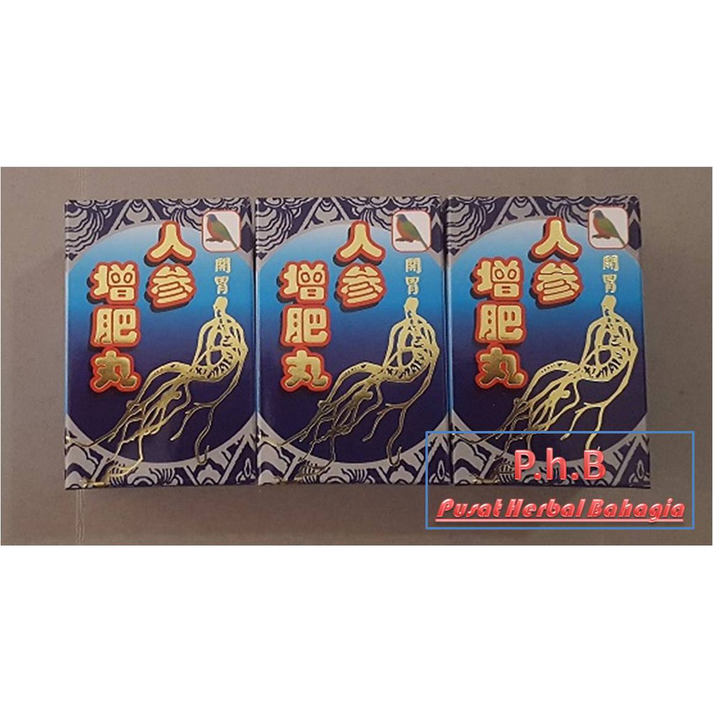 Obat China Penggemuk Badan dan Nafsu makan - REN SHENG ZHEN FEI WAN GINSENG BIRU