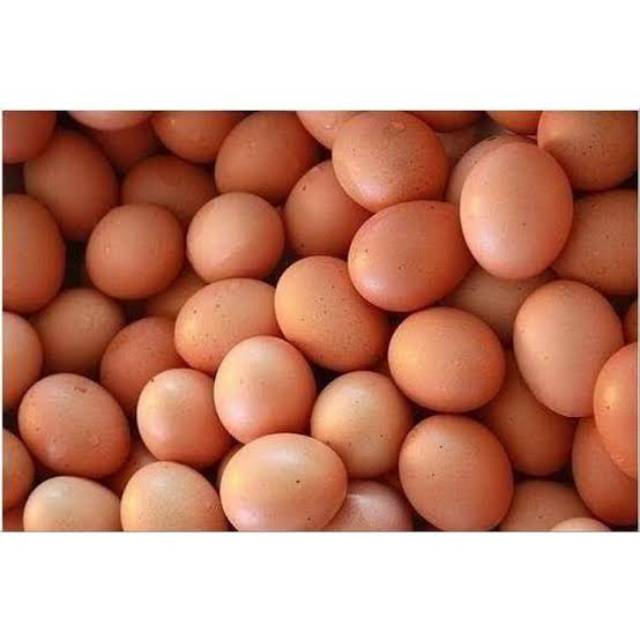 Jual Telur Ayam Telor Ayam 1 Pack Isi 10 Baca Deskripsi Shopee Indonesia 1297