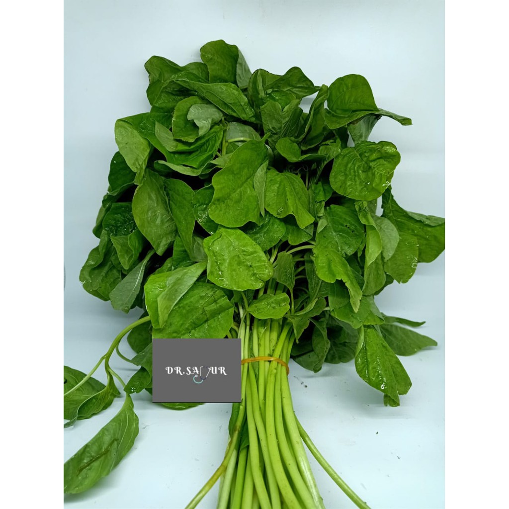 

Bayam fresh seikat