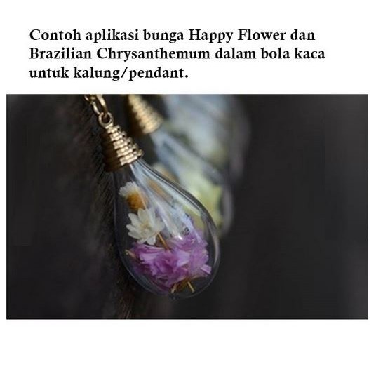 Happy Flower Dried - Bunga Happy Flower Kering (5 head)