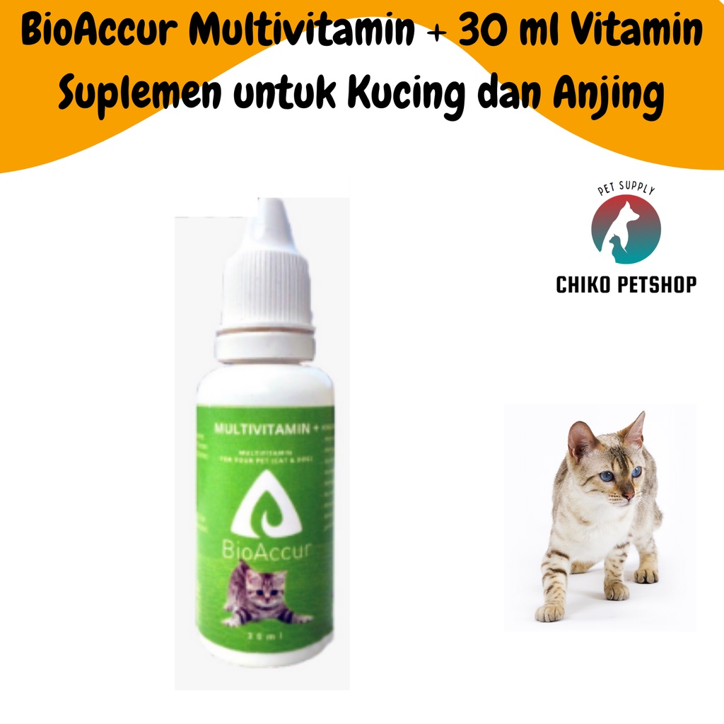 BioAccur Multivitamin + 30 ml Vitamin Suplemen untuk Kucing dan Anjing