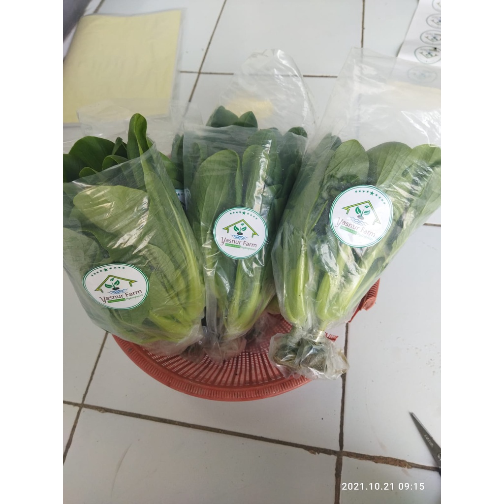 

Packcoy Hydroponic 1 Kg