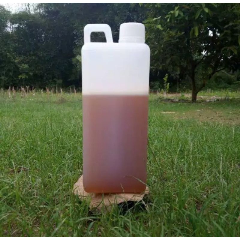 

Madu Multiflora murni Kental 1kg