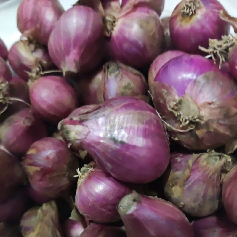

Bawang merah probolinggo