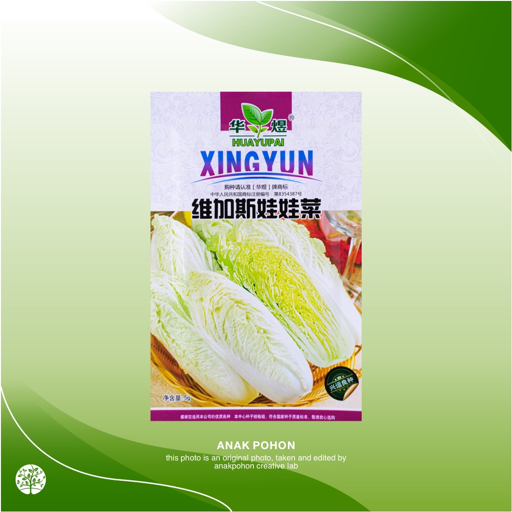 (1 PACK) Benih Sawi Putih Chinese Cabbage Seeds - Retail Pack