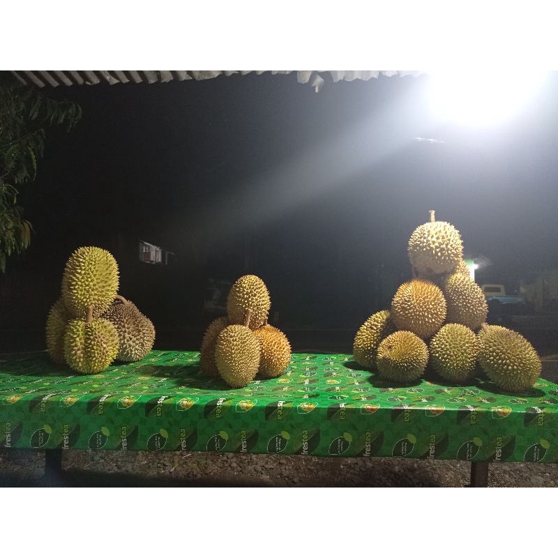

durian