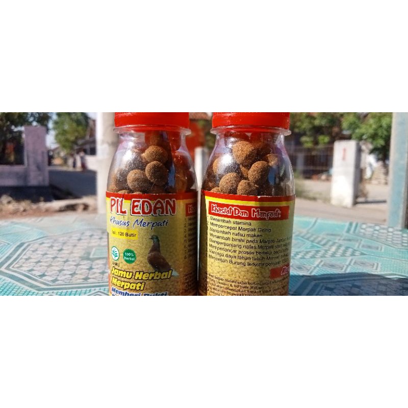 pil edan merpati balap