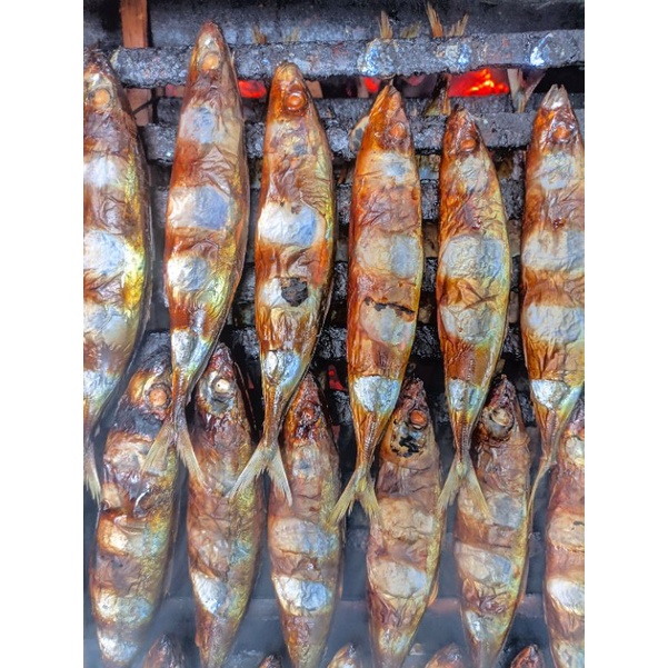 

Ikan asap layang | Ikan panggang layang | Ikan asap | Ikan panggang asap | ikan panggang pekalongan