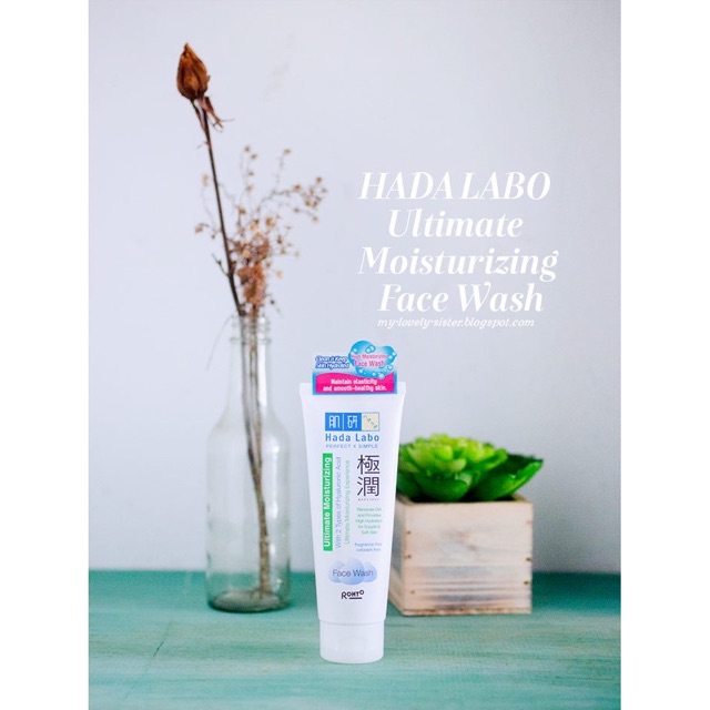 Hada Labo Gokujyun Ultimate Moisturizing Face Wash