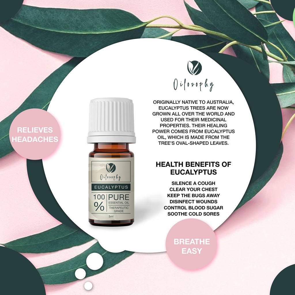 EUCALYPTUS ESSENTIAL OIL 5 ML | PURE ESSENTIAL OIL |THERAPEUTIC GRADE