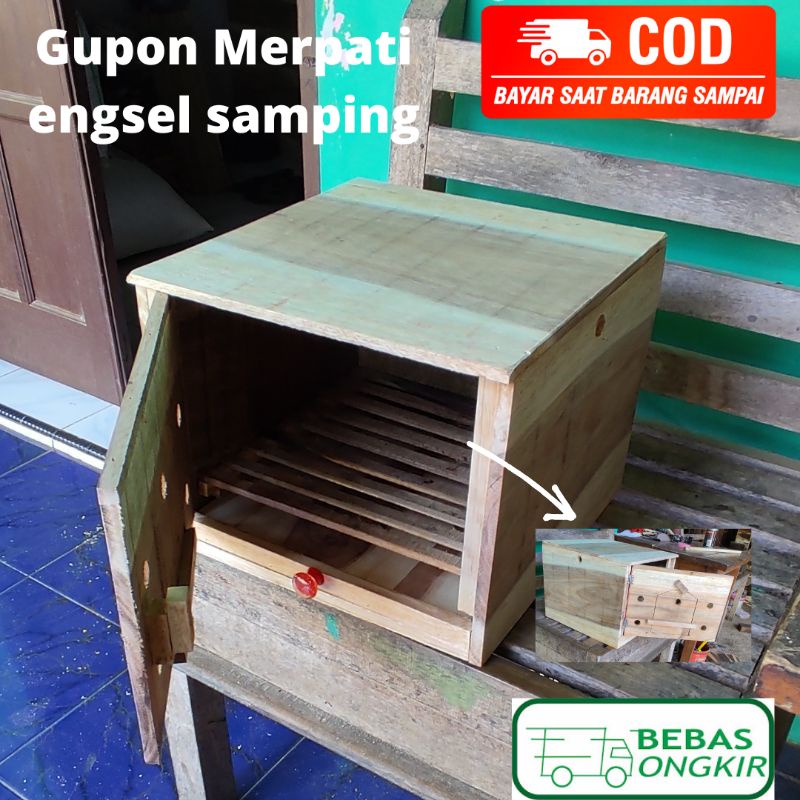 Gupon Merpati Balap