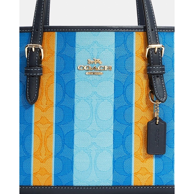 Coach Mollie Tote 25 In Signature Jacquard With Stripes (C4088)