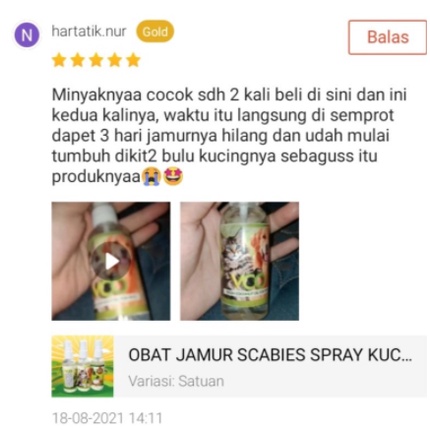 VCO SPRAY 60 - Obat Jamur Scabies Untuk Kucing Anjing Minyak VCO Virgin Coconut Oil for Cat Dog