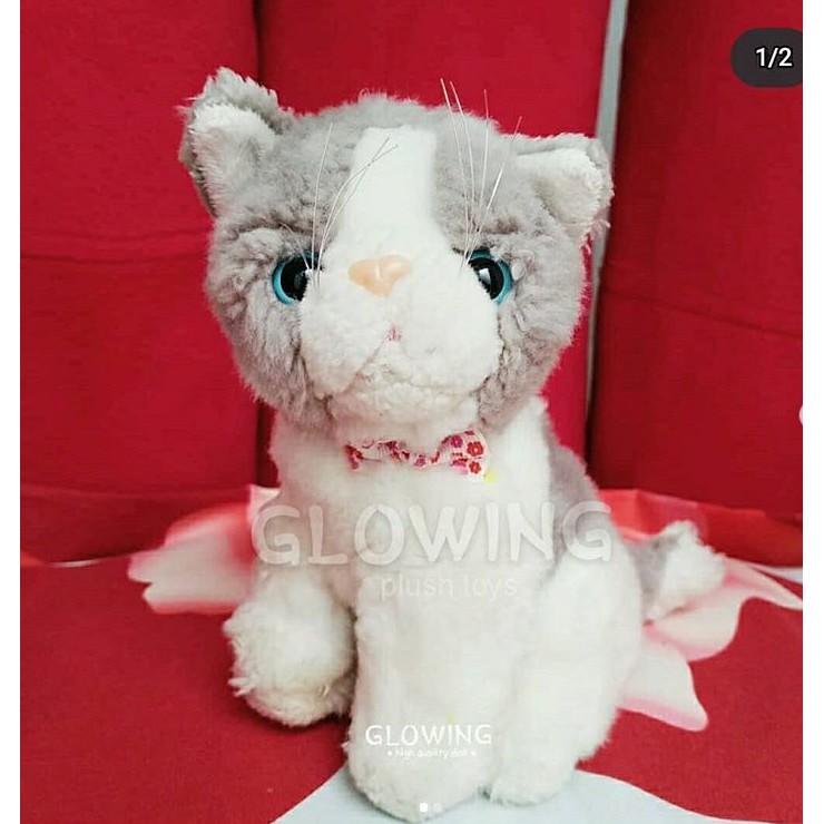 Boneka Kucing Abu Maine Coon